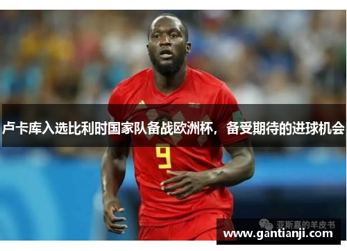 卢卡库入选比利时国家队备战欧洲杯，备受期待的进球机会